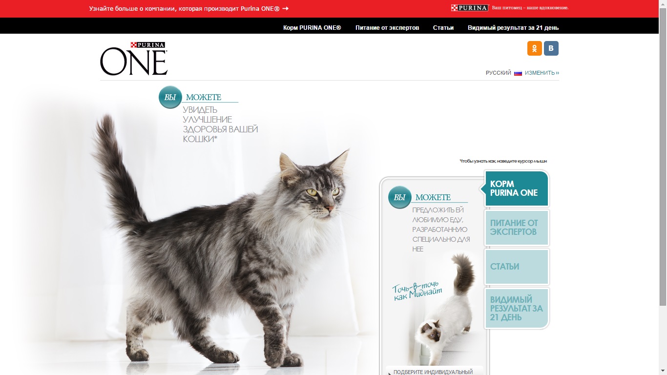 Purina One