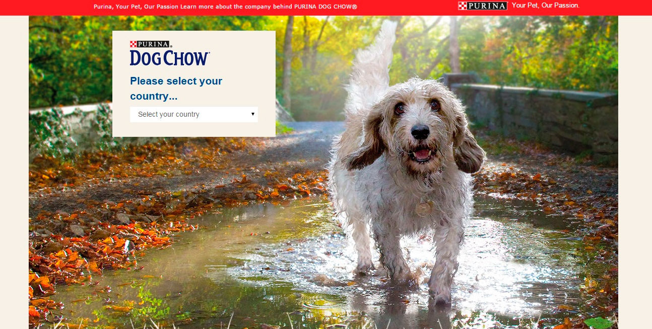dogchow link