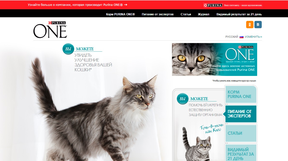 purinaone link