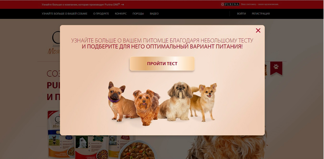 Mydogis link