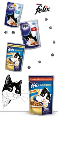 Nestle - Felix