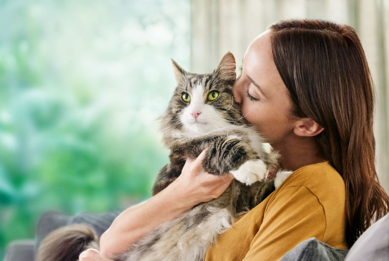 purina