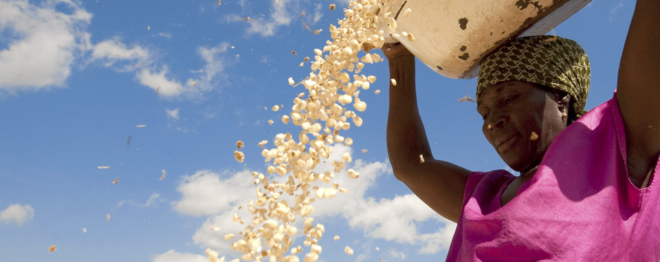 Западно-Африканская драма