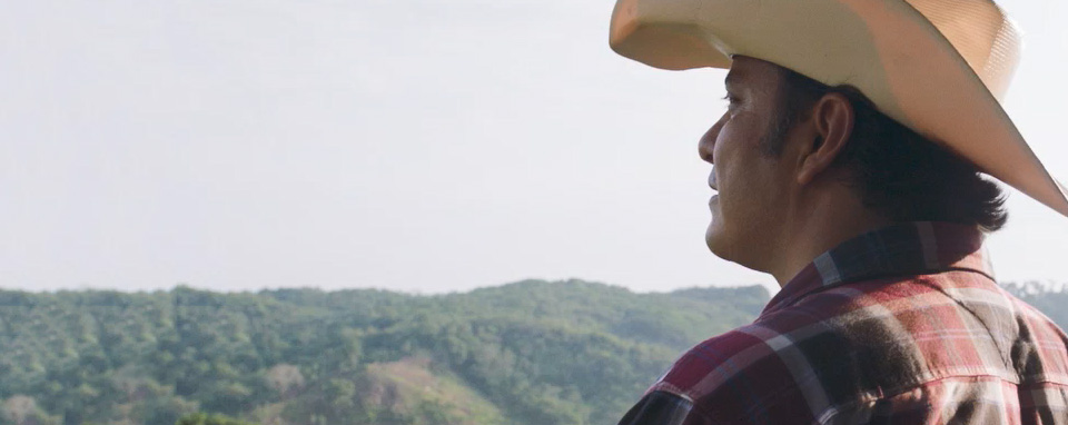 Nescafé запустила программу Grown Respectfully