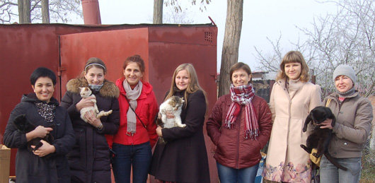 «Нестле» помогает приюту для животных